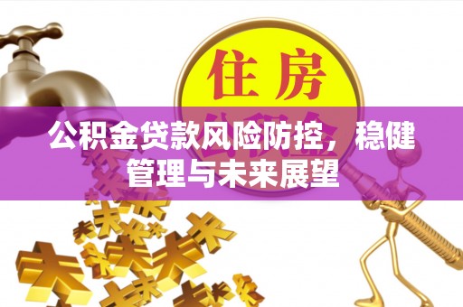 台江公积金贷款风险防控，稳健管理与未来展望