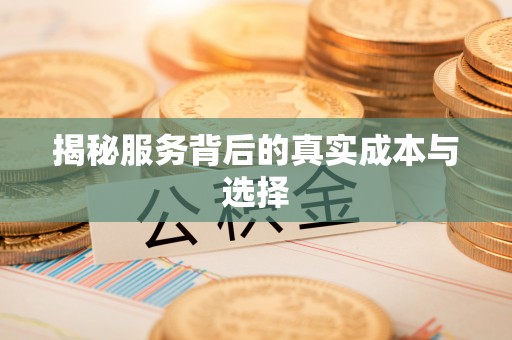 台江揭秘服务背后的真实成本与选择