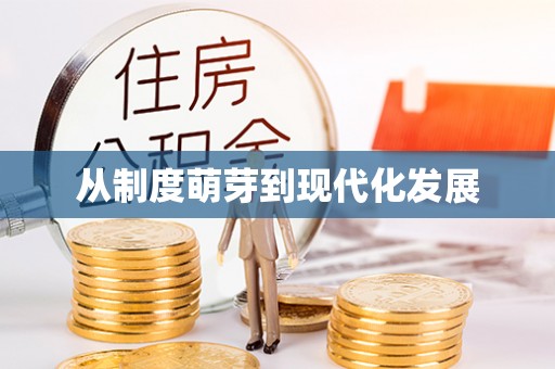 台江从制度萌芽到现代化发展