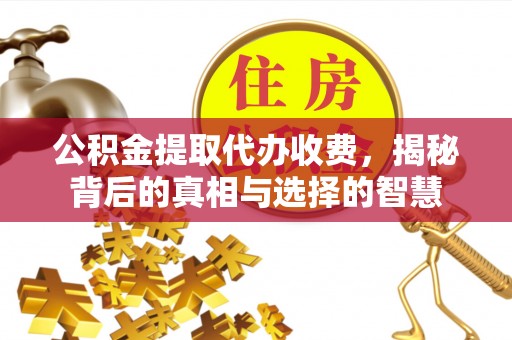 台江公积金提取代办收费，揭秘背后的真相与选择的智慧
