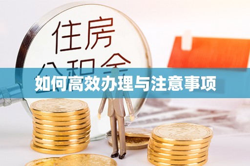 台江如何高效办理与注意事项
