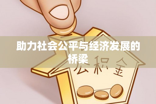 台江助力社会公平与经济发展的桥梁