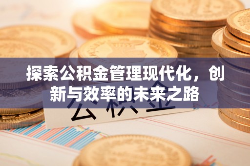 台江探索公积金管理现代化，创新与效率的未来之路