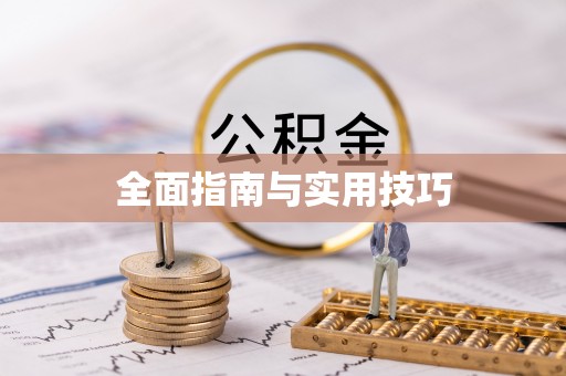 台江全面指南与实用技巧