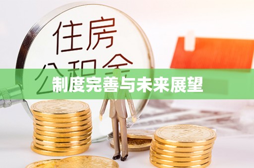 台江制度完善与未来展望