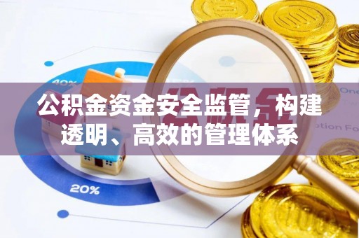台江公积金资金安全监管，构建透明、高效的管理体系