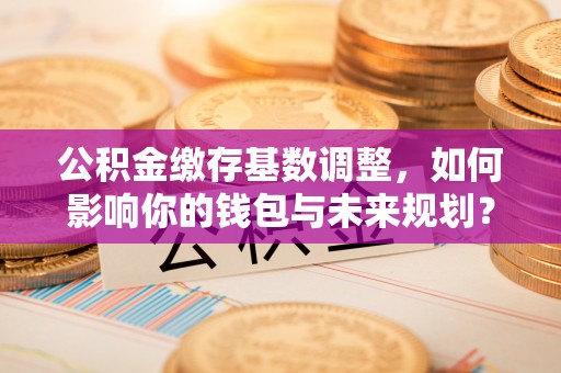台江公积金缴存基数调整，如何影响你的钱包与未来规划？