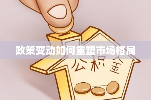 台江政策变动如何重塑市场格局