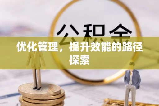 台江优化管理，提升效能的路径探索