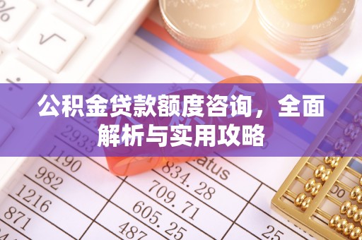 台江公积金贷款额度咨询，全面解析与实用攻略