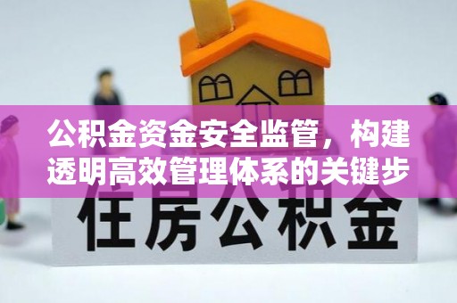 台江公积金资金安全监管，构建透明高效管理体系的关键步骤