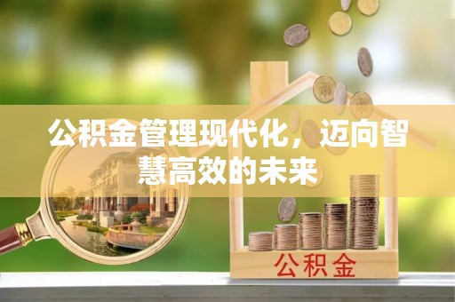 台江公积金管理现代化，迈向智慧高效的未来