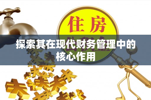 台江探索其在现代财务管理中的核心作用