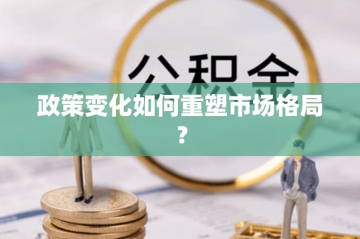 台江政策变化如何重塑市场格局？