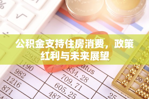 台江公积金支持住房消费，政策红利与未来展望