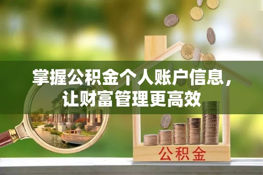 台江掌握公积金个人账户信息，让财富管理更高效