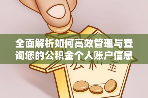 台江全面解析如何高效管理与查询您的公积金个人账户信息