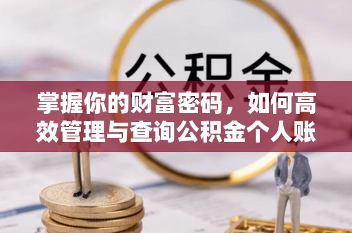 台江掌握你的财富密码，如何高效管理与查询公积金个人账户信息