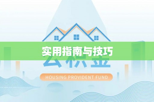 台江实用指南与技巧