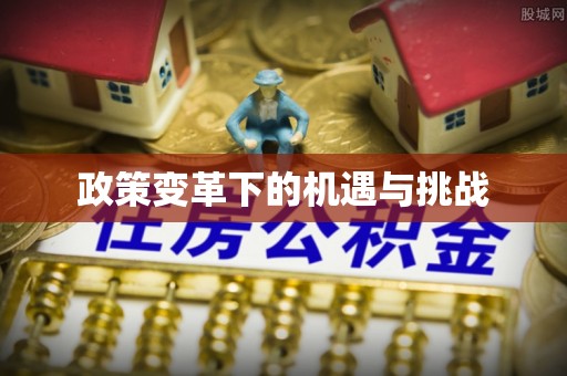 台江政策变革下的机遇与挑战