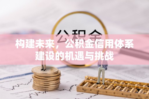 台江构建未来，公积金信用体系建设的机遇与挑战