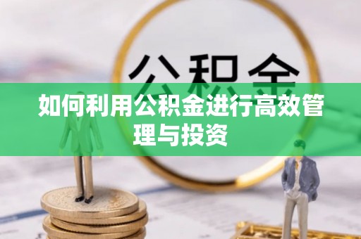 台江如何利用公积金进行高效管理与投资
