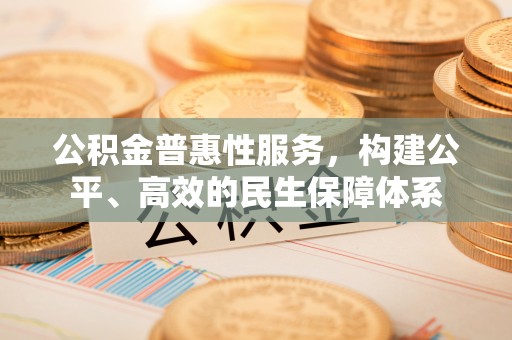 台江公积金普惠性服务，构建公平、高效的民生保障体系