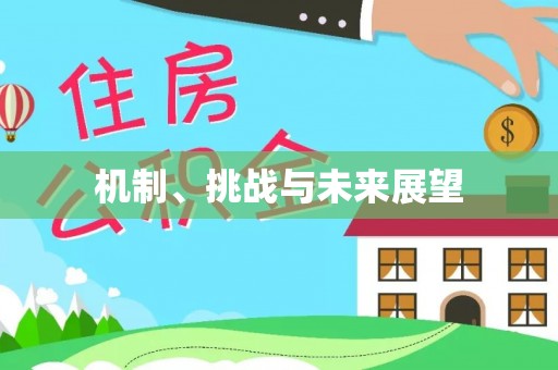 台江机制、挑战与未来展望