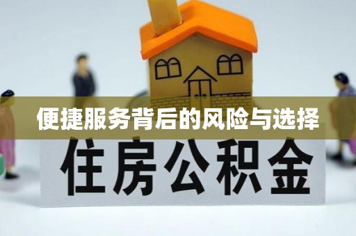 台江便捷服务背后的风险与选择