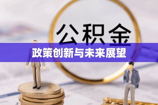 台江政策创新与未来展望