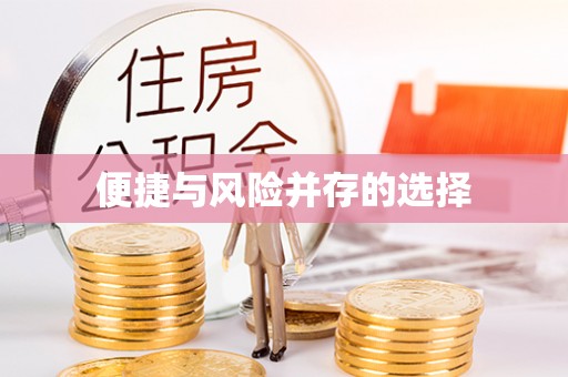 台江便捷与风险并存的选择