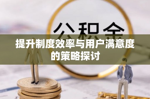 台江提升制度效率与用户满意度的策略探讨