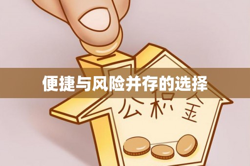 台江便捷与风险并存的选择